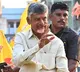 Andhra Pradesh polls: Chandrababu Naidu promises to double honorarium of volunteers
