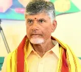 Favorable year ahead for Chandrababu Naidu, predicts astrologer at TDP office