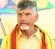 Favorable year ahead for Chandrababu Naidu, predicts astrologer at TDP office