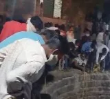 Five Of Family Die After Falling Into Abandoned Well In Bid To Save Cat In Maharashtra