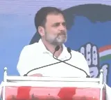 Rahul Gandhi Promises Caste based Census in Various Sectors