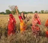 Hema Malini joins women harvesting wheat in Mathura
