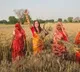 Hema Malini joins women harvesting wheat in Mathura