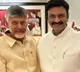 Chandrababu Naidu advocates justice for Raghurama Raju in Undi Constituency review