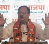 'Upcoming polls a battle between weeding out corruption & shielding the corrupt', JP Nadda says at Maha rally