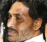 Andhra CM hit by stone during campaigning in Vijayawada