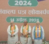 BJP unveils manifesto, says no difference between what we say and what we do