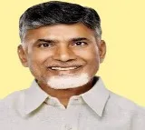 TDP seeks ECI's intervention for fair probe into stone pelting on Andhra Pradesh CM Jagan