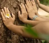 Hugging Trees For 1500 Ad By Bengaluru Company Shocks Internet