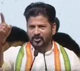 Revanth Reddy in Mahaboob Nagar meeting