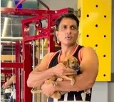 Sonu Sood introduces fans to his pawdorable gym buddy ‘Pyare Mohan’