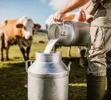 H5N1 found on cow milk for the first time
