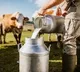 H5N1 found on cow milk for the first time