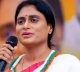 Political and Family Drama Unfolds as Sharmila Claims Misrepresented Asset Share
