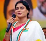 Sharmila clarifies on her debts mentioned in affidavit