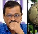 Delhi HC dismisses PIL seeking 'extraordinary interim bail' for CM Kejriwal with 75k costs