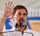 Hearing in defamation case against Rahul now on May 2