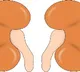 Harvested kidney transported to waiting recipient in Mohali in 10 minutes