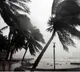 AI models by Google, Nvidia can predict path, intensity of major storms: Study