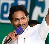 YS Manohar Reddy files one set nomination behalf of CM Jagan in Pulivendula