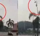 Malaysian navy helicopters collide mid air and all 10 crew members dead