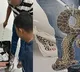 Passenger from Bangkok arrested with 10 yellow anacondas at Bengaluru airport