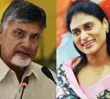 Chandrababu comments on Sharmila loan from Jagan