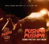 Pushpa Song Promo from Pushpa 2 The Rule