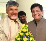 Union Minister Piyush Goyal Meets Chandrababu Naidu