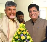Union Minister Piyush Goyal meets Chandrababu