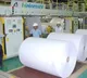 Andhra paper mill lockout