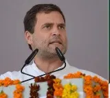 ec takes note of alleged poll violations by modi rahul seeks response