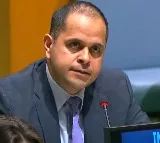 Making UNGA more effective can't be divorced from UNSC reforms: India
