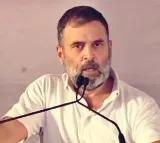BJP accuses Rahul Gandhi of insulting Rajput community, demands apology