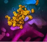 Undiagnosed immune deficiency rising among Indian children: Doctors