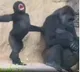 everywhere Children are children Here is the viral video