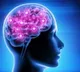 Why losing keys, everyday items may not always signal poor memory