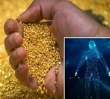 Our Body Made From Gold Do You Know