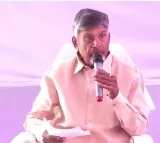 Chandrababu press meet on pension distribution at homes