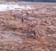 42 dead as kenya dam bursts