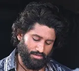 Thandel Movie Update