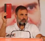 Congress and INDIA bloc making every effort to save Constitution: Rahul Gandhi