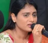 Sharmila questions Jagan's opposition to CBI probe in YS Viveka's murder case