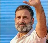 Pak Politician Praise For Rahul Gandhi Draws BJP Anger