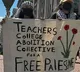Violent protests at US universities over Gaza war hundreds arrested