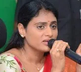 Jagan protecting YS Viveka killers says YS Sharmila