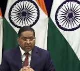 India asks Indian student in US to obey local laws