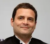 Rahul Gandhi contesting from Rae Bareli