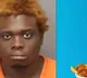 Florida Man Arrested for Throwing Fried Chicken at Sister During Argument