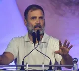 Rahul Gandhi's fresh pitch for 'wealth redistribution' stirs controversy, video circulates